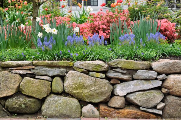 Stone Wall Hardscaping in Cleveland